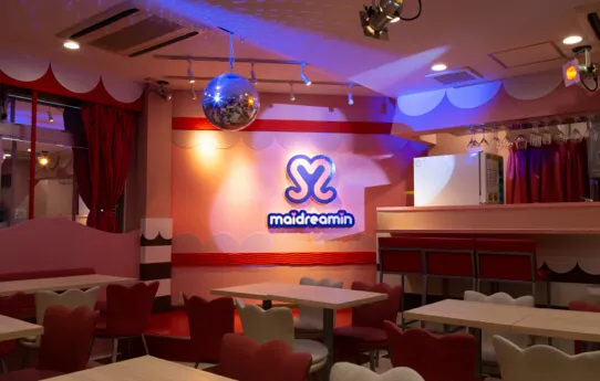 Akihabara Electric Town Exit Station Store