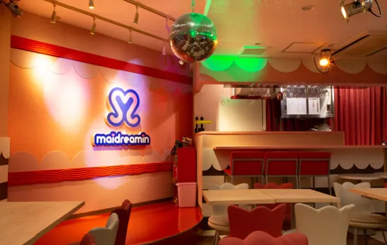 Akihabara Electric Town Exit Station Store